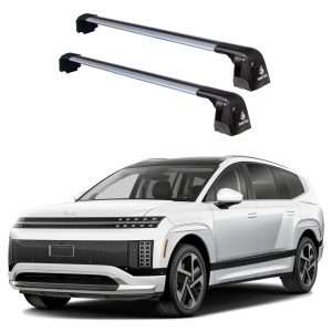 Ioniq 9